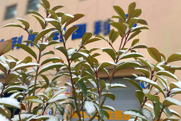 1579658629918147.jpg 1_副本.jpg