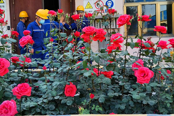 1590482468236226.png 圖片2.png