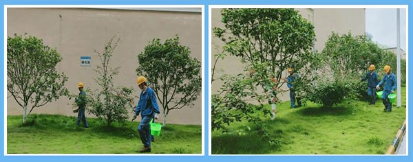 1594169526934632.jpg 3.jpg