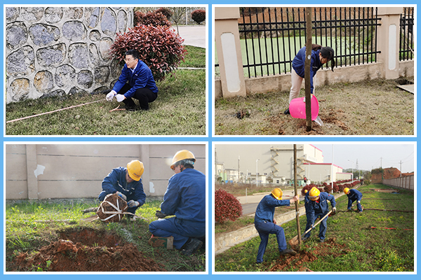 1617171180377796.jpg 植樹2.jpg