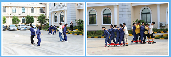 1632967862840196.jpg 1.jpg