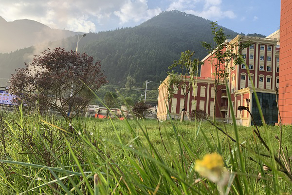 1635219533394516.jpg 2-2.jpg