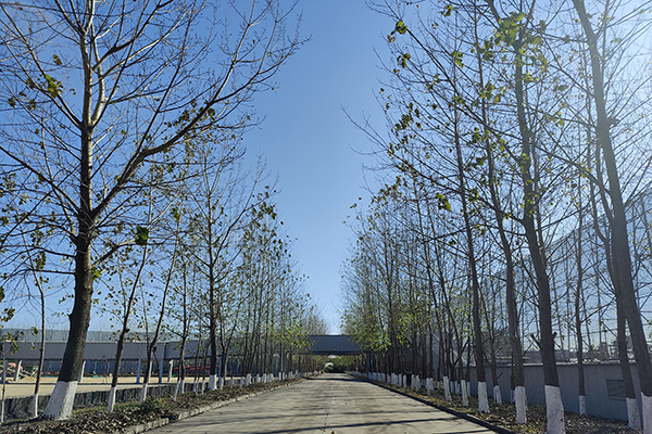 1638517453363209.jpg 5-1.jpg