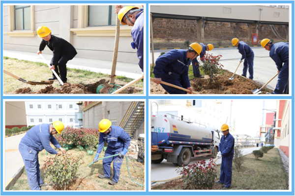 1647342889931058.png db9c81130b713a2831e3ee4aa3a2cee.png