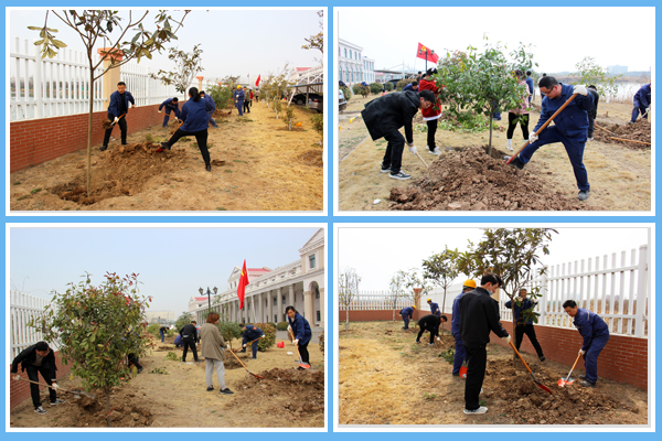 1647344935494996.jpg 四合一照片.jpg