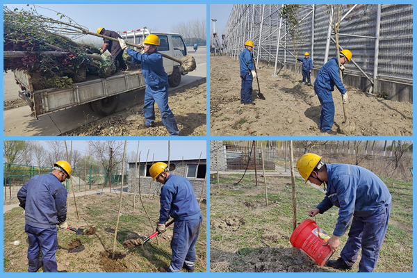 1647345266520301.jpg 植樹四合一.jpg