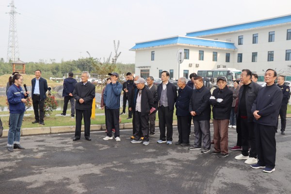 1761697842565547.jpg 1.JPG