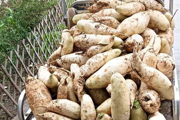 1741138442572464.png 3.png